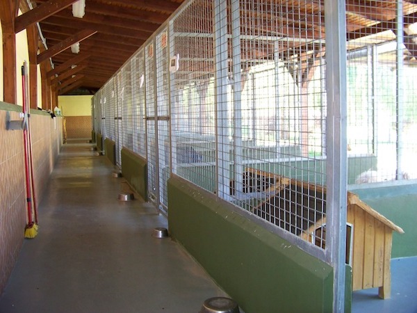 Residencias Caninas en Alcala de los Gazules